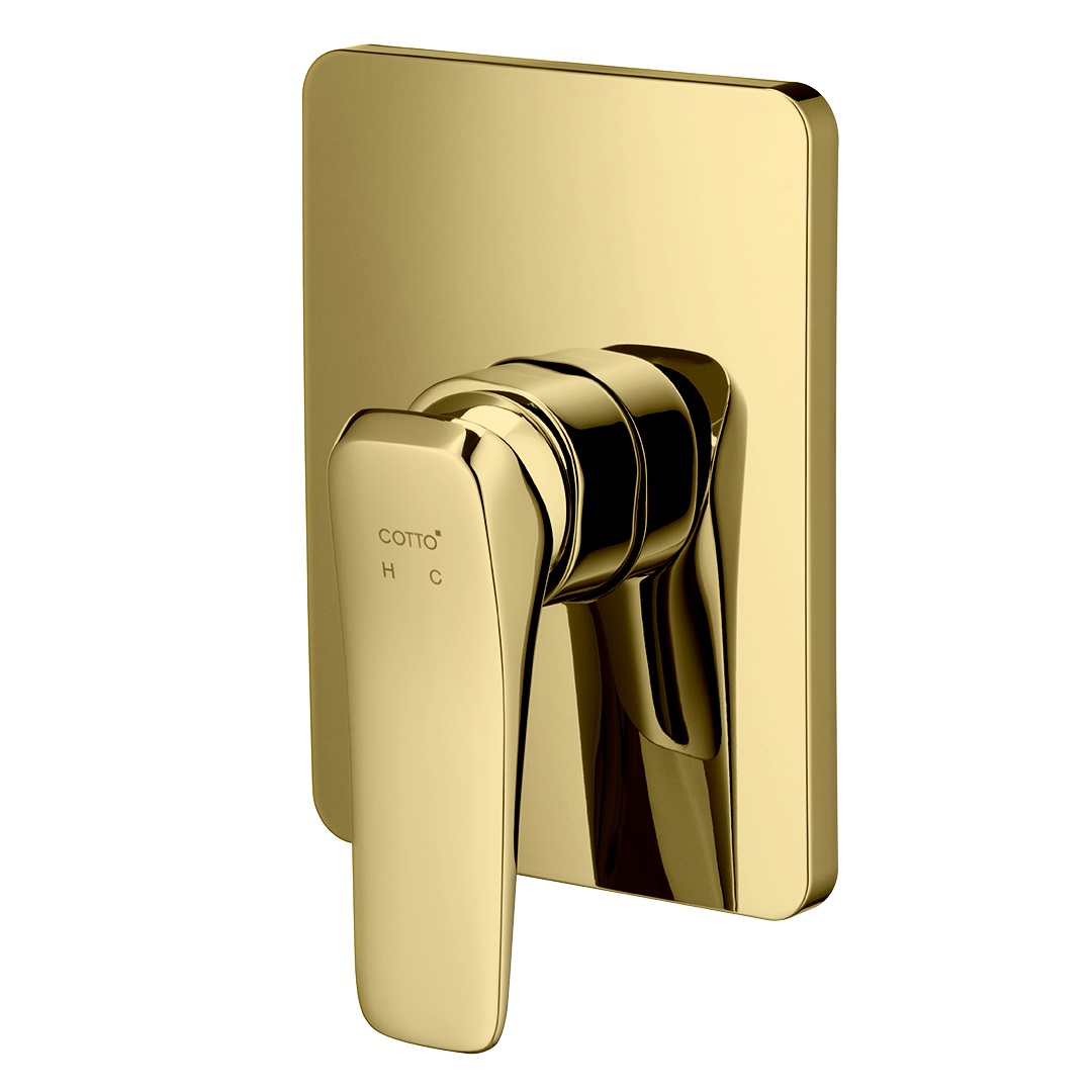 CT2303A#GR2 Van điều chỉnh âm tường X#Posh